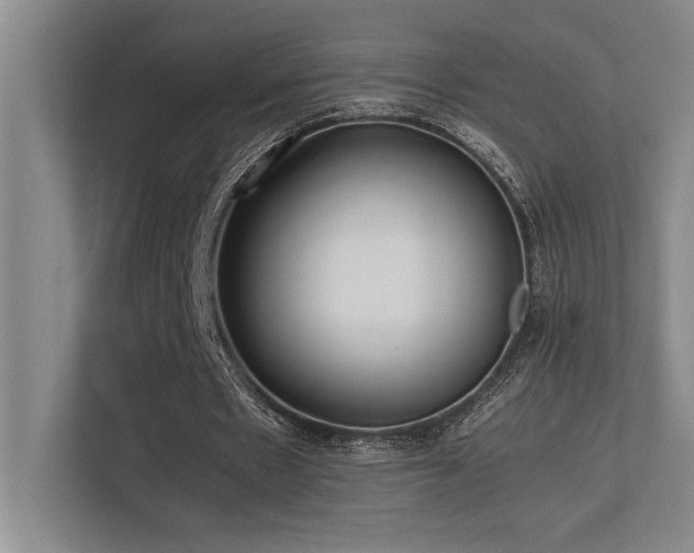 X0000113210481200909101135