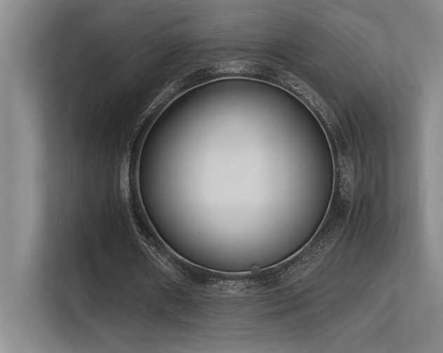 X0000113210482200909101135