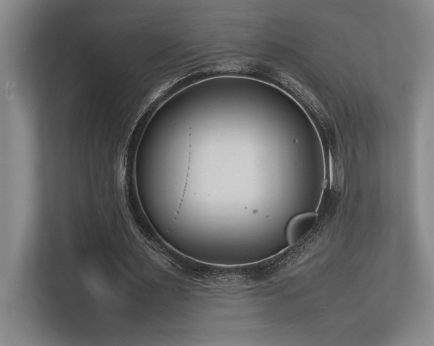 X0000113210483200909101135