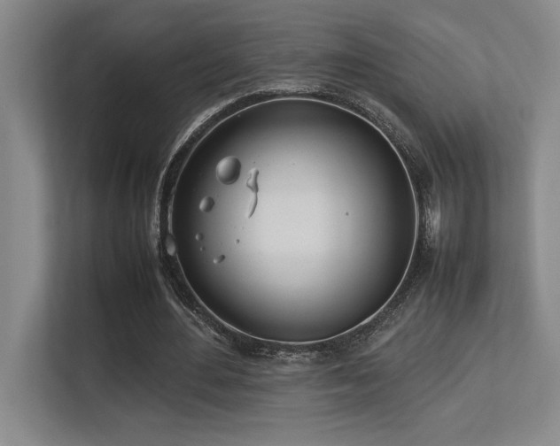 X0000113210484200909101135