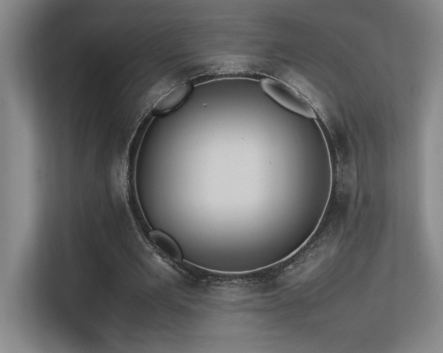 X0000113210485200909101135