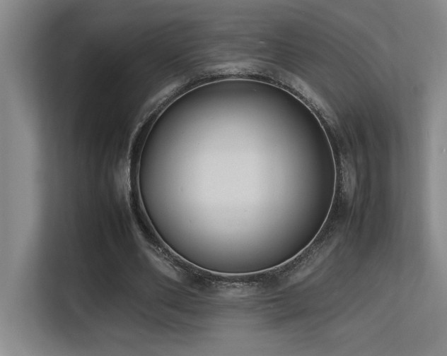 X0000113210486200909101135