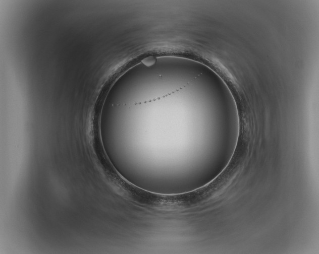 X0000113210487200909101135