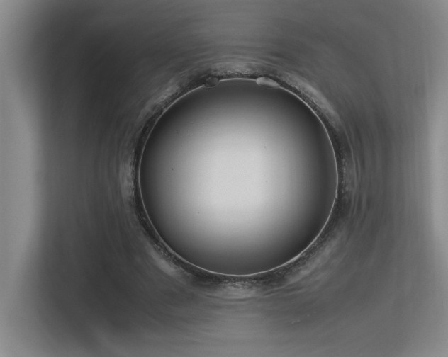 X0000113210489200909101135