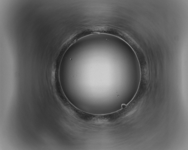 X0000113210491200909101135