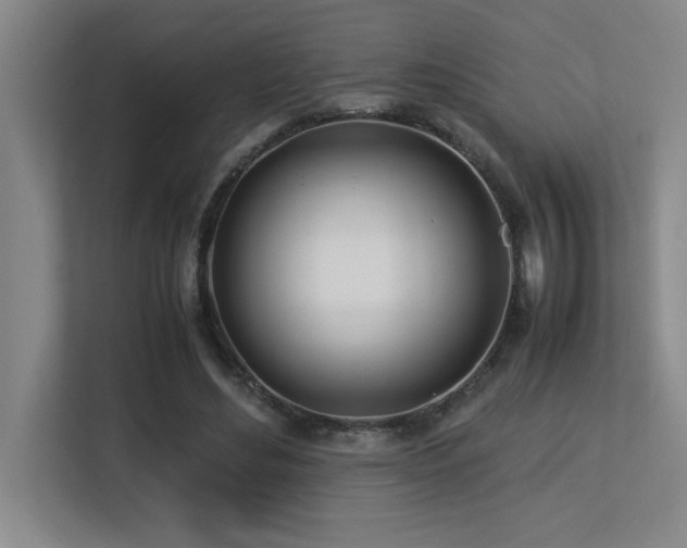 X0000113210492200909101135