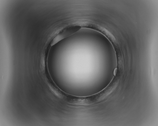 X0000113210493200909101135