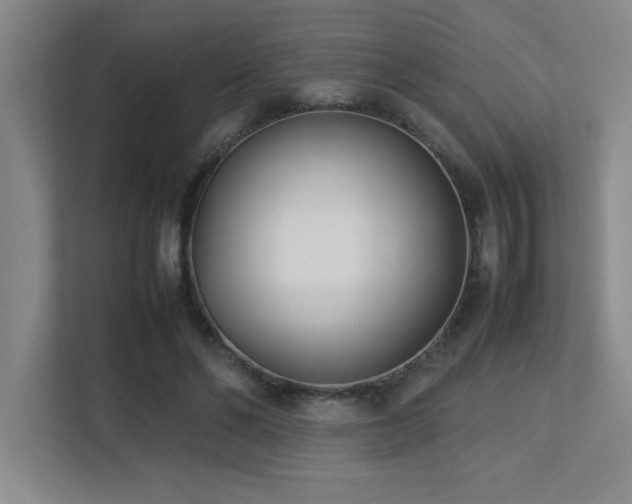 X0000113210494200909101135