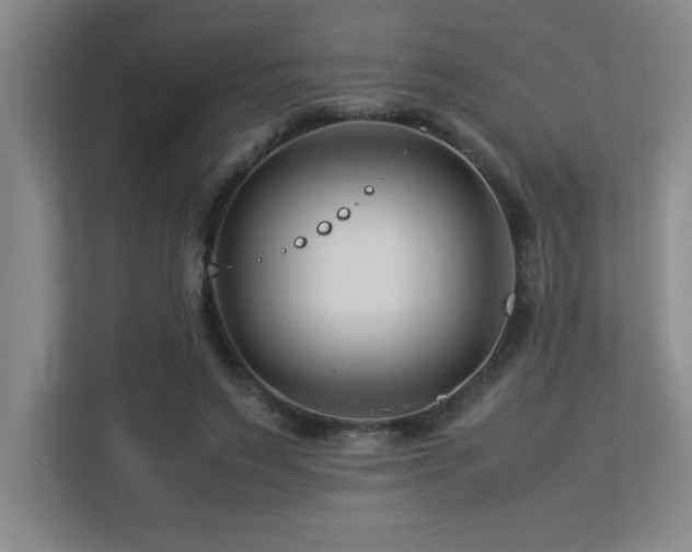 X0000113210495200909101135