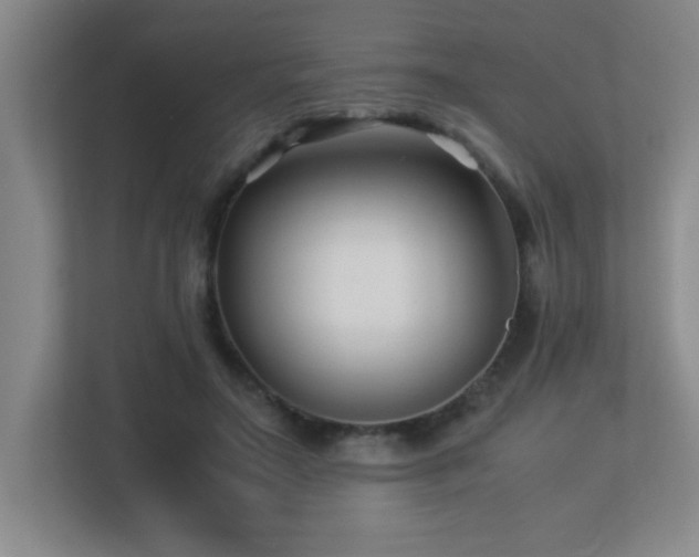 X0000113210499200909101135