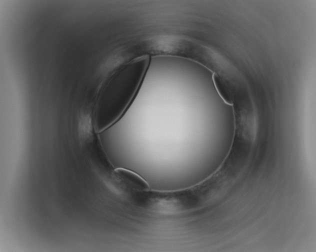 X0000113210500200909101135