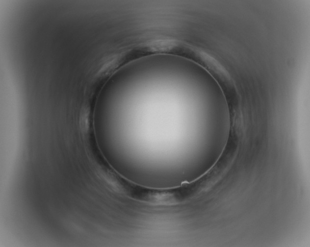 X0000113210501200909101135