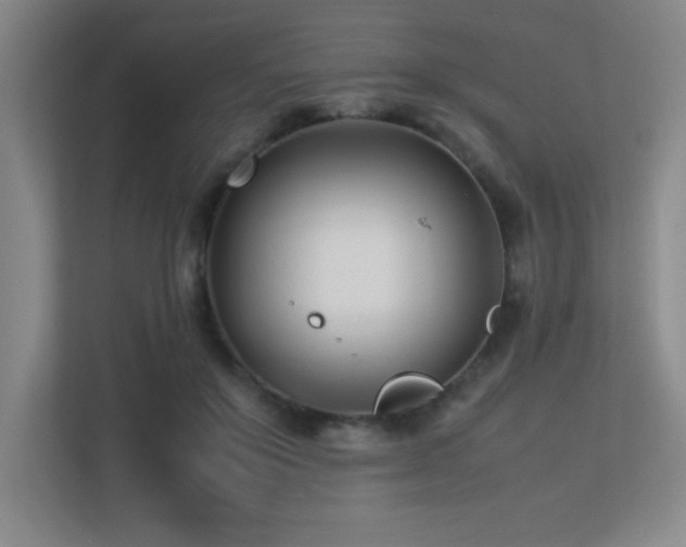 X0000113210503200909101135