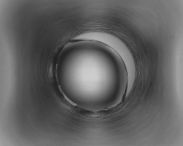 X0000113210504200909101135