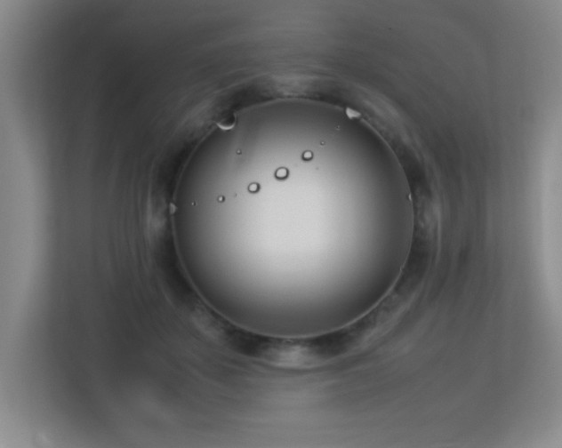 X0000113210507200909101135