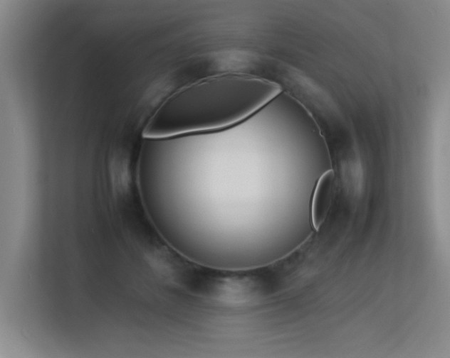 X0000113210508200909101135