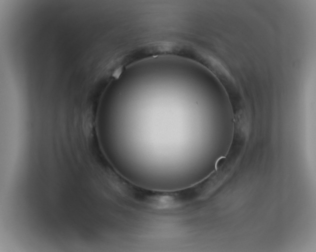 X0000113210509200909101135