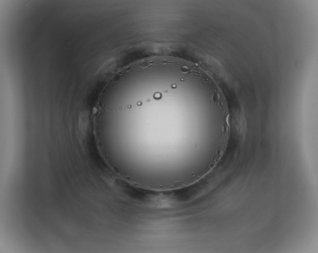 X0000113210511200909101135