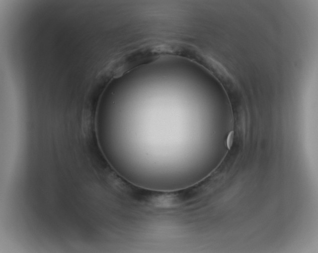 X0000113210513200909101135