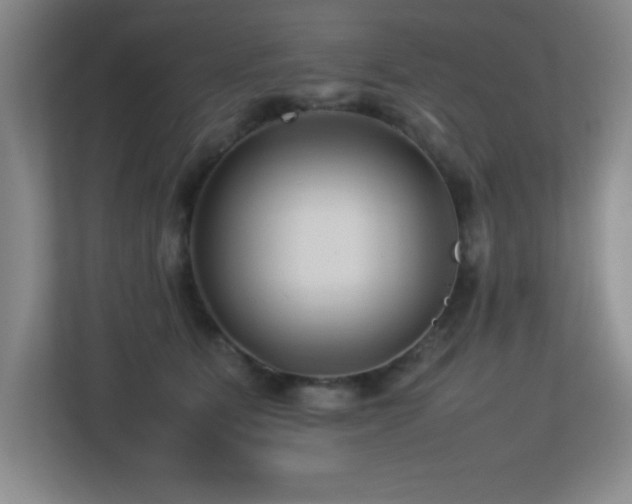 X0000113210515200909101135