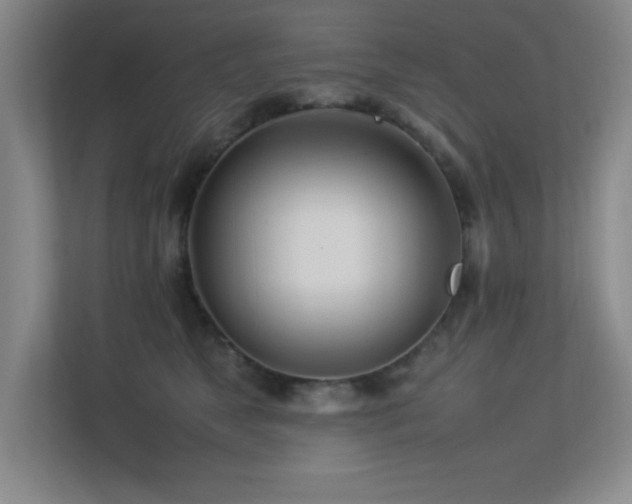 X0000113210517200909101135