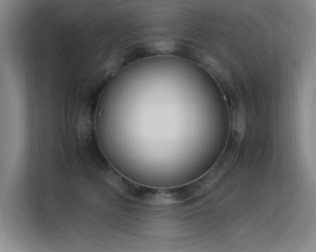 X0000113210518200909101135