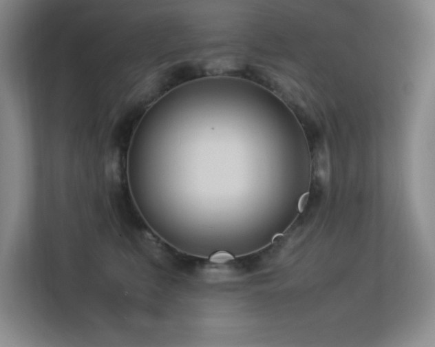 X0000113210519200909101135