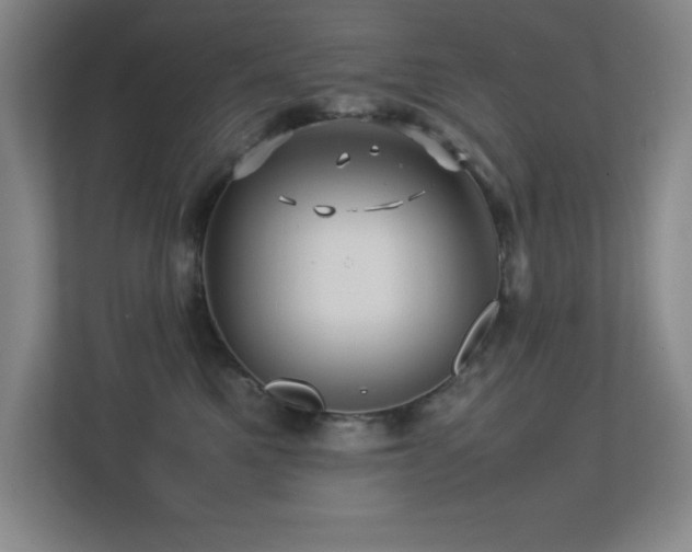 X0000113210521200909101134