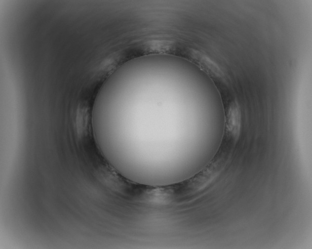 X0000113210522200909101134