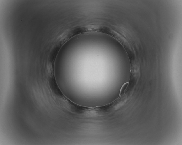 X0000113210523200909101134