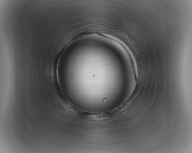 X0000113210524200909101134