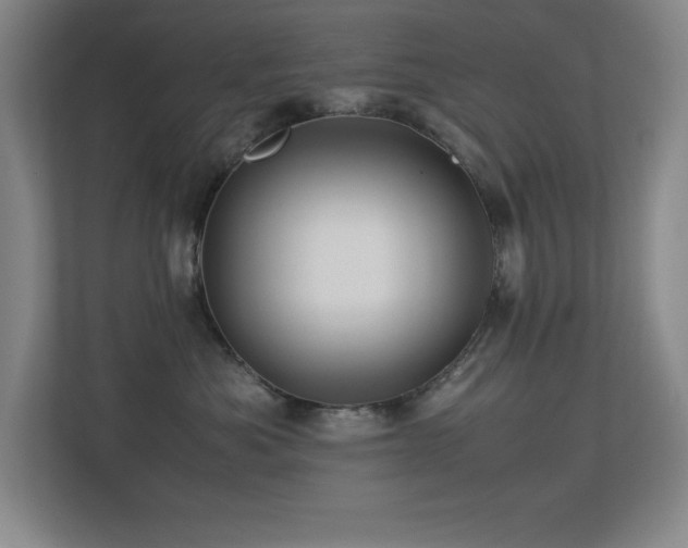 X0000113210525200909101134