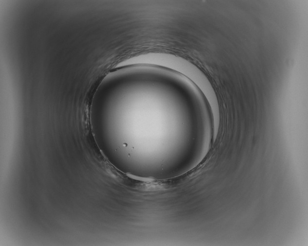 X0000113210528200909101134