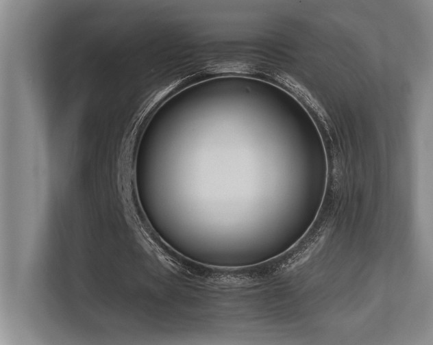 X0000113210529200909101134