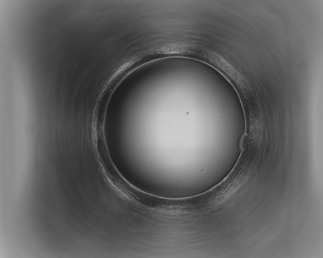 X0000113210530200909101134