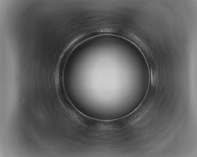 X0000113210531200909101134