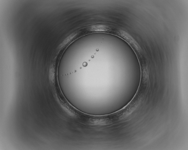 X0000113210533200909101134