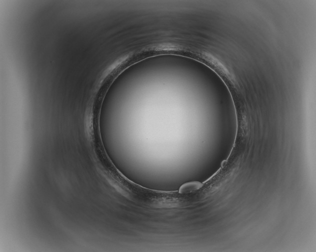 X0000113210535200909101134