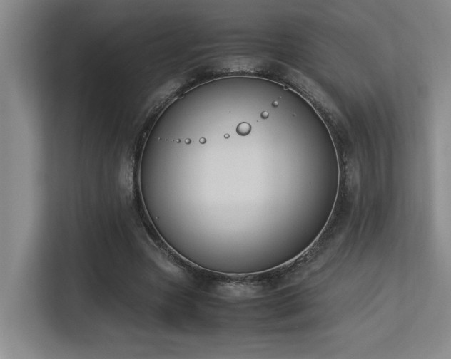 X0000113210537200909101134