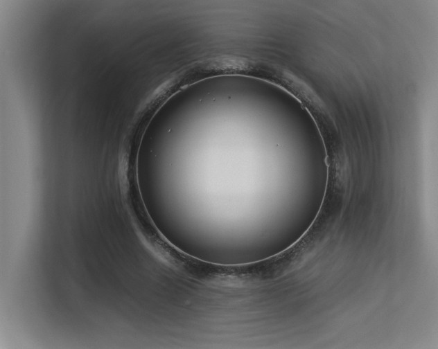 X0000113210538200909101134