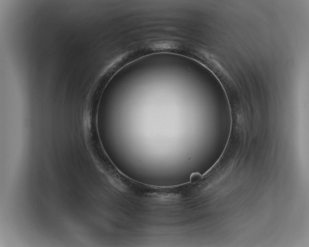 X0000113210539200909101134