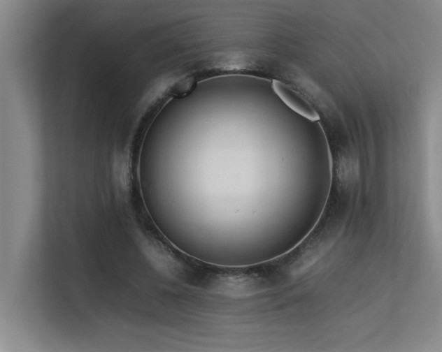 X0000113210540200909101134