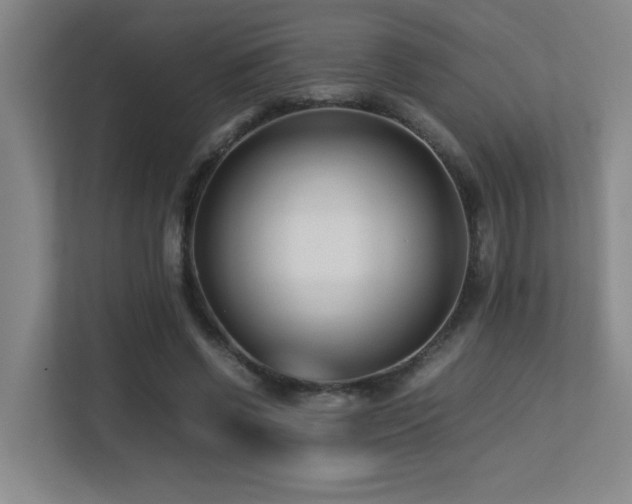 X0000113210542200909101134