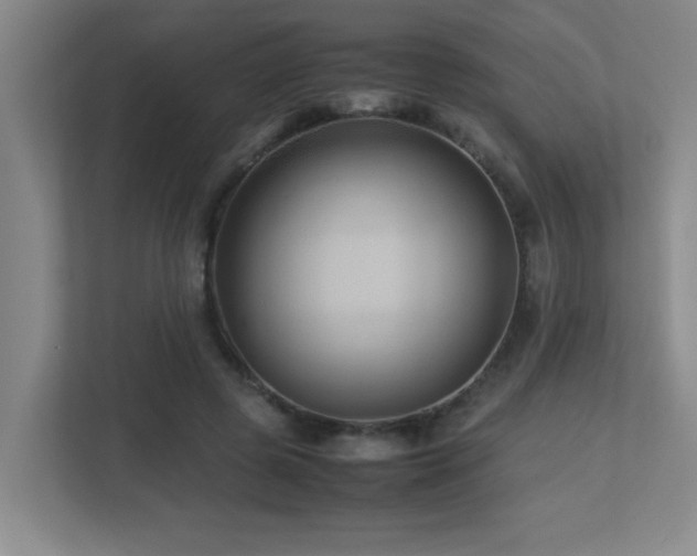 X0000113210545200909101134