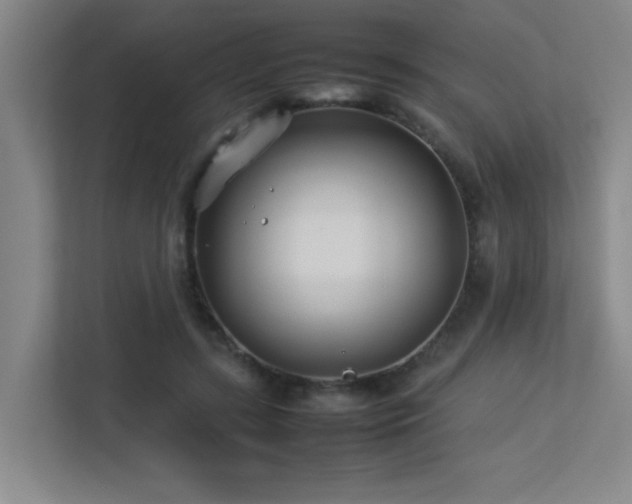 X0000113210547200909101134