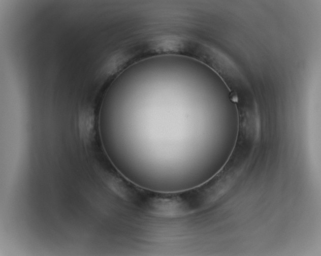 X0000113210548200909101134