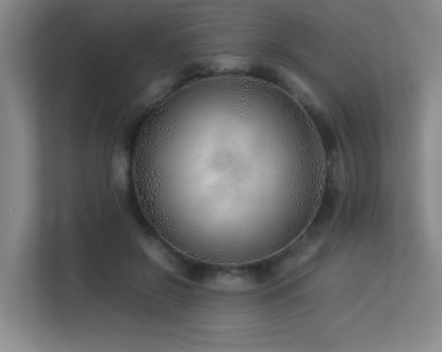 X0000113210550200909101134