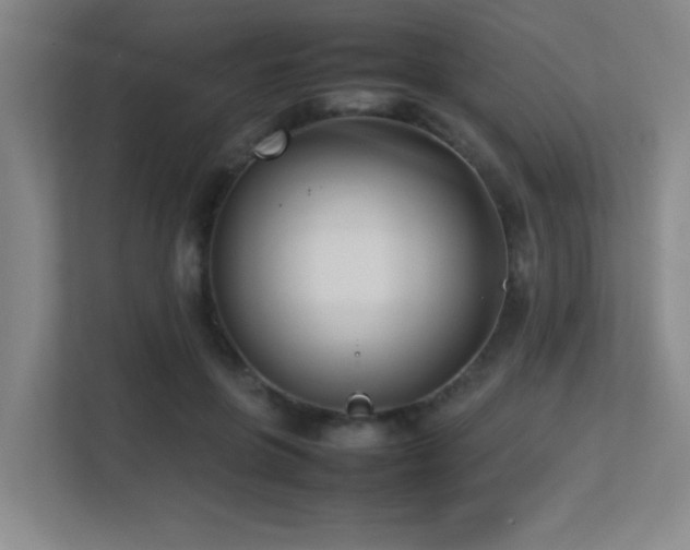 X0000113210551200909101134