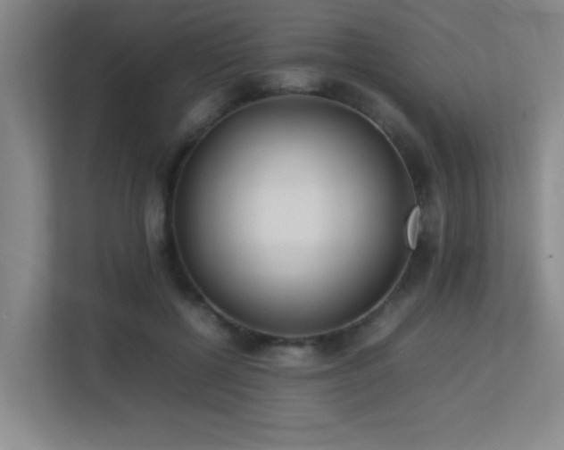 X0000113210552200909101134