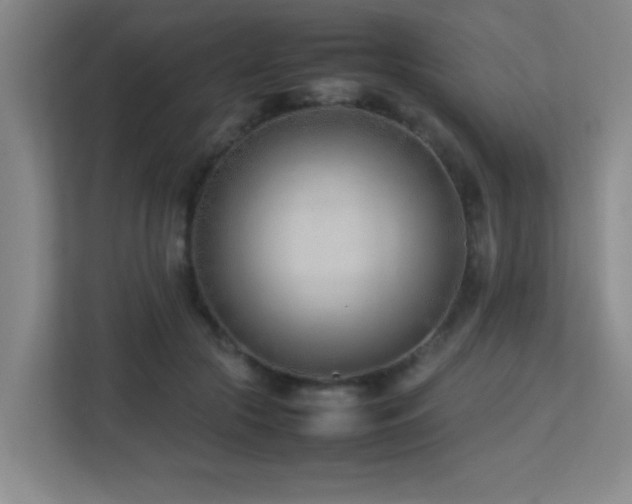 X0000113210553200909101134